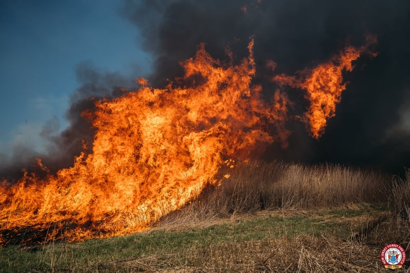 Incendio forestal cerca de Filadelfia pone en alerta a Nueva Jersey