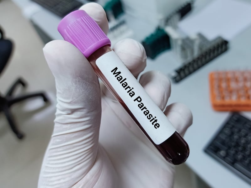 Emiten una alerta sanitaria tras confirmarse dos casos de malaria en Florida